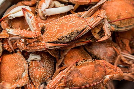 新鲜的螃蟹晚餐的海鲜图片