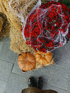 女脚南瓜和秋天花的顶端景象图片