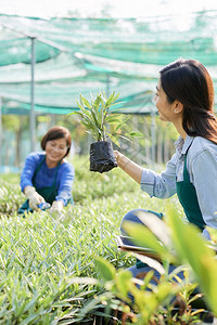 微笑的亚洲女在温图片