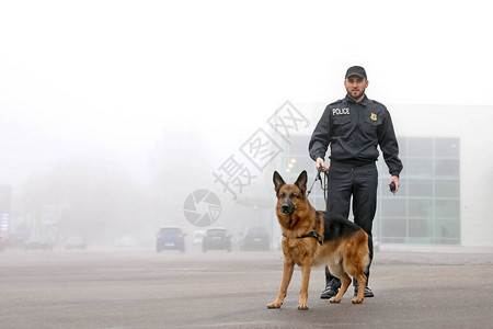 男警官和警犬在市街图片