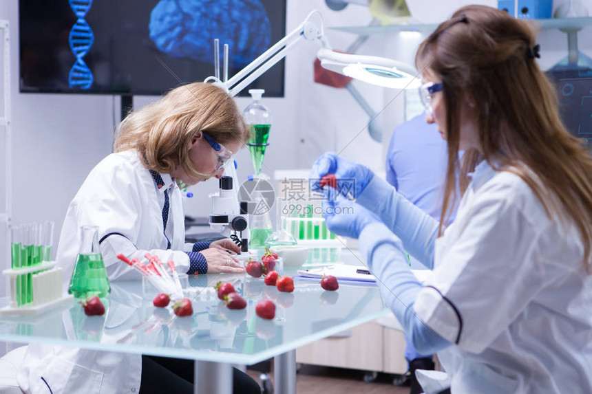 两位女科学家在食品研究实验室共事测试管草莓测图片