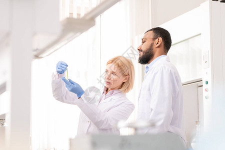 忙碌的多民族化学家穿着实验室大衣站在实验室检查试管中的液体图片