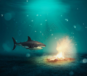 在露营火前的水下鲨鱼使不可能的概念成为可能吧图片