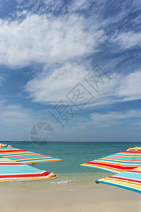 沙滩上多姿彩的阳伞图片