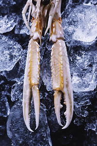 新鲜的小龙虾放在冰和石板上图片