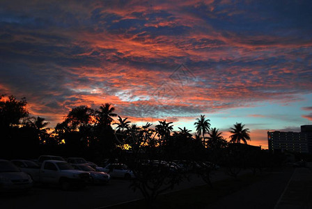 日落时在椰子树的香肠上天空中闪耀着美图片