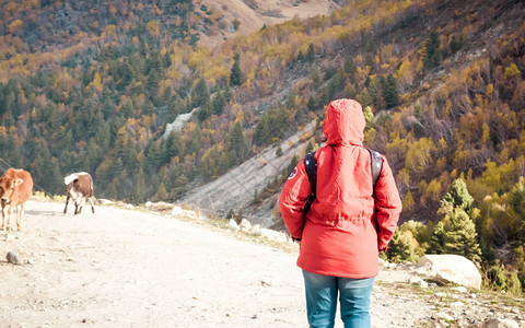 观看成年妇女穿着红色夹克的独身旅行者在一条公路上独自行走图片
