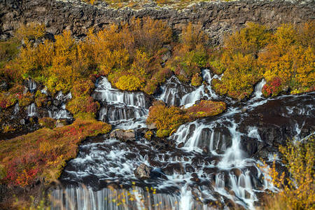 冰岛的Hraunfossar瀑布秋图片