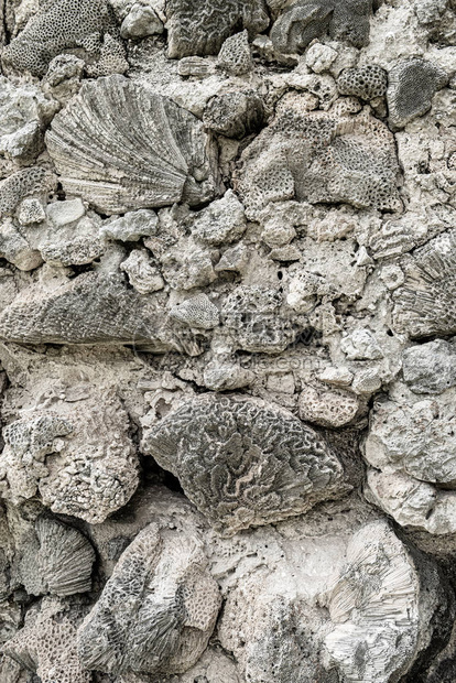 由珊瑚石制成的堡垒墙图片