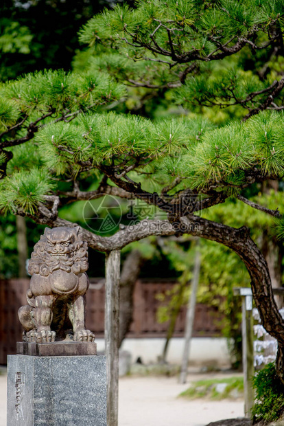 福冈的苏美吉神社是日本所有苏美吉图片