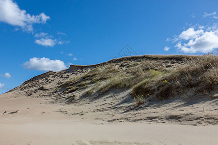 库尔斯沙嘴公园的灰色沙丘小径在夏天图片