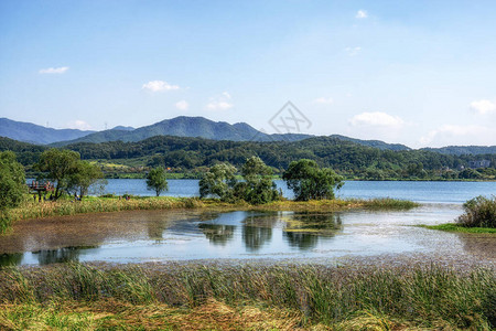 初秋拍摄的北汉江和水生态公园花景观韩国南图片