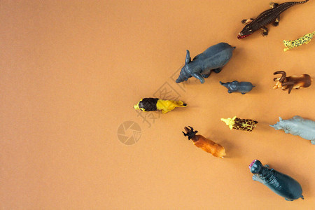 动物的塑料玩具动物跟随狮子自然保护的概念文本图片