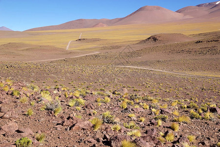 阿里扎罗盐沼是阿根廷西北部安第斯山脉的一个大型盐滩图片