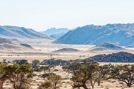纳米布沙漠边缘Koiimas图片