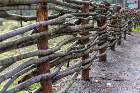 俄罗斯乡村背景图片