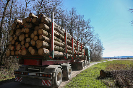 卡车运输木图片