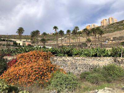 环绕大加那利岛的拉斯图片