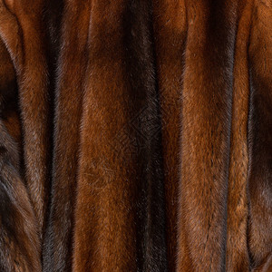 天然深棕褐色闪亮的毛皮纹理以波形式呈图片