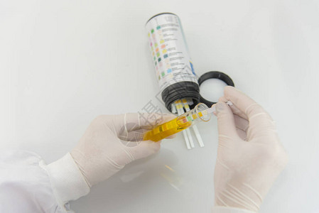 实验室的尿液样本测试尿图片
