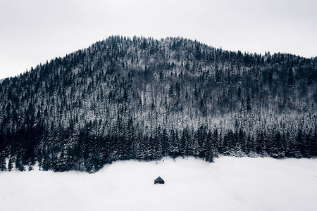 大雪山和森林以及一个废弃的图片