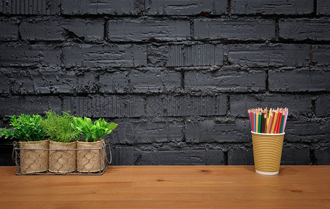 有家用植物和黑砖墙背景的彩色铅笔图片