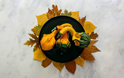 秋天和感恩节日用落叶和装饰南瓜在光大理石桌上摆放盘子图片
