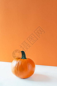 白桌上的南瓜在橙色背景上感恩节或万圣节时间最小图片