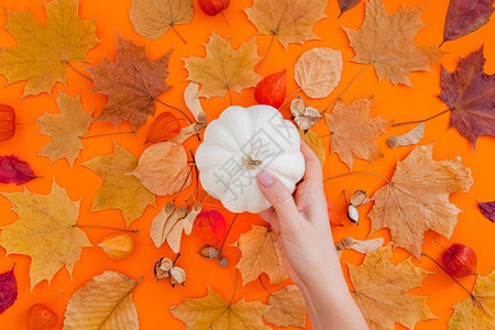 橙色背景上有干叶创意秋季感恩节秋季万圣节概念顶视图片