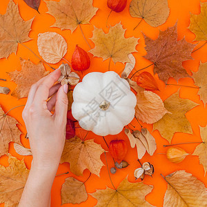 橙色背景上有干叶创意秋季感恩节秋季万圣节概念顶视图片