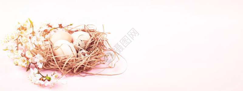 以粉红色背景的鸡蛋盛开的树枝为巢网站复活图片
