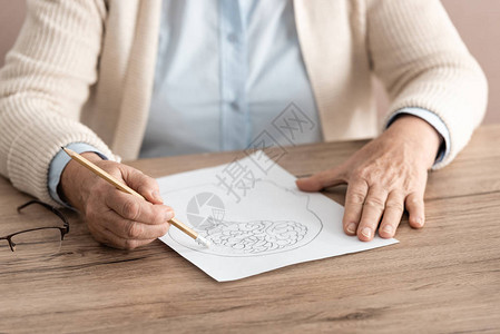 利用表格对持有纸面的退休妇女图片