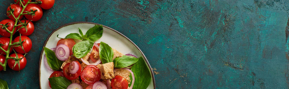 意大利菜色沙拉潘扎尼拉被用西红柿和全景片涂在纸质绿色图片