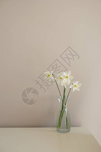 桌子背景上有白色花朵的玻璃花瓶图片