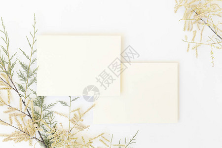 用灰色背景的热带棕榈叶和中间的文字空间混合白纸和信封顶图片