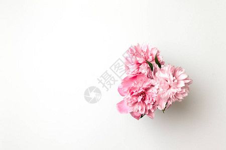 白桌上新鲜的粉红小马鲜花图片