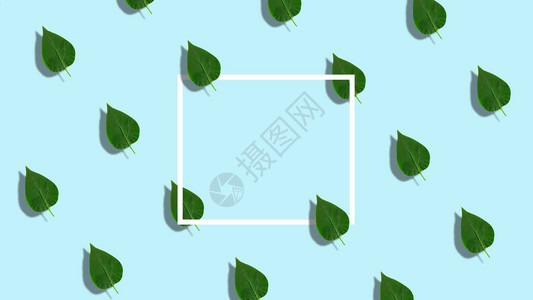 绿色丁香叶背景与白色框架平躺自然最小的概念浅蓝色背景由带有复制空间的纸卡笔记的叶子制背景图片