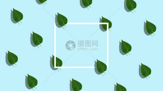 绿色丁香叶背景与白色框架平躺自然最小的概念浅蓝色背景由带有复制空间的纸卡笔记的叶子制图片