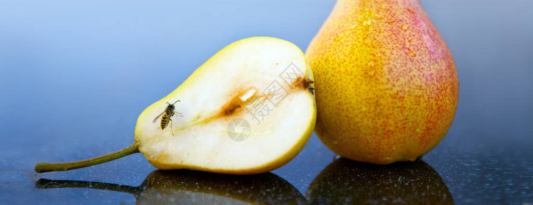 黄色的大成熟梨和蜜蜂在桌子上图片