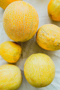 一群明亮的橙色甜瓜浆果季背景图片