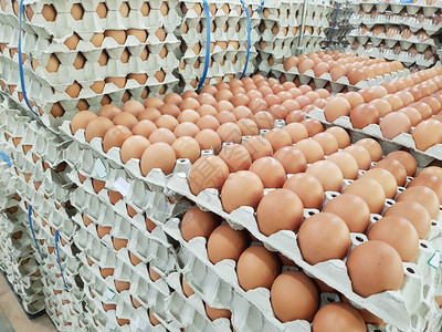 超市出售的包装中的新鲜生鸡蛋图片