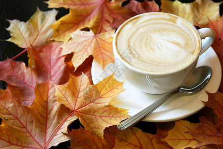 桌上有秋叶的咖啡杯图片