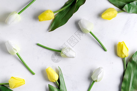 花朵模式由大理石背景上的黄白郁金香制成图片