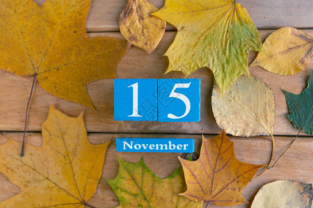 11月15日蓝色的立方体日历月和日期图片