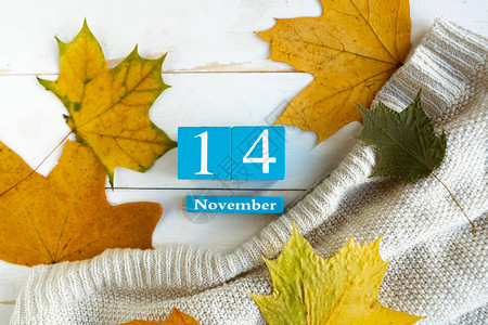 11月14日蓝色的立方体日历月和日期图片