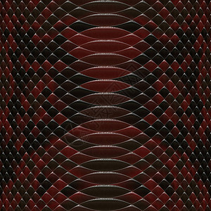 蛇鳞图片_蛇鳞素材_蛇鳞高清图片_摄图网图片下载