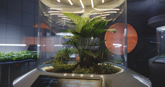 火星基地实验室中植物孵图片