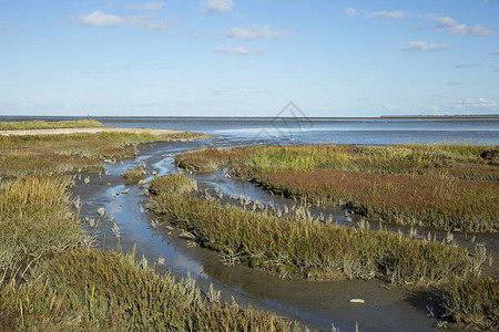 荷兰弗赖斯兰WaddenzeeFriesland的海景观图片