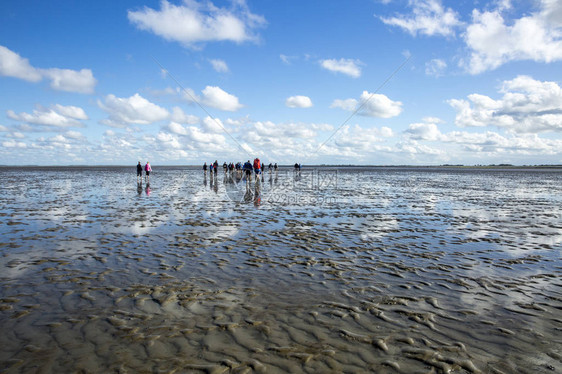 荷兰弗赖斯兰WaddenzeeFriesland等地的海洋景观图片