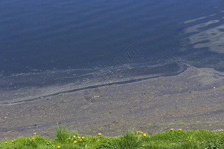 水污染环境问题在池塘湖岸附近大油的泥土漂浮高清图片